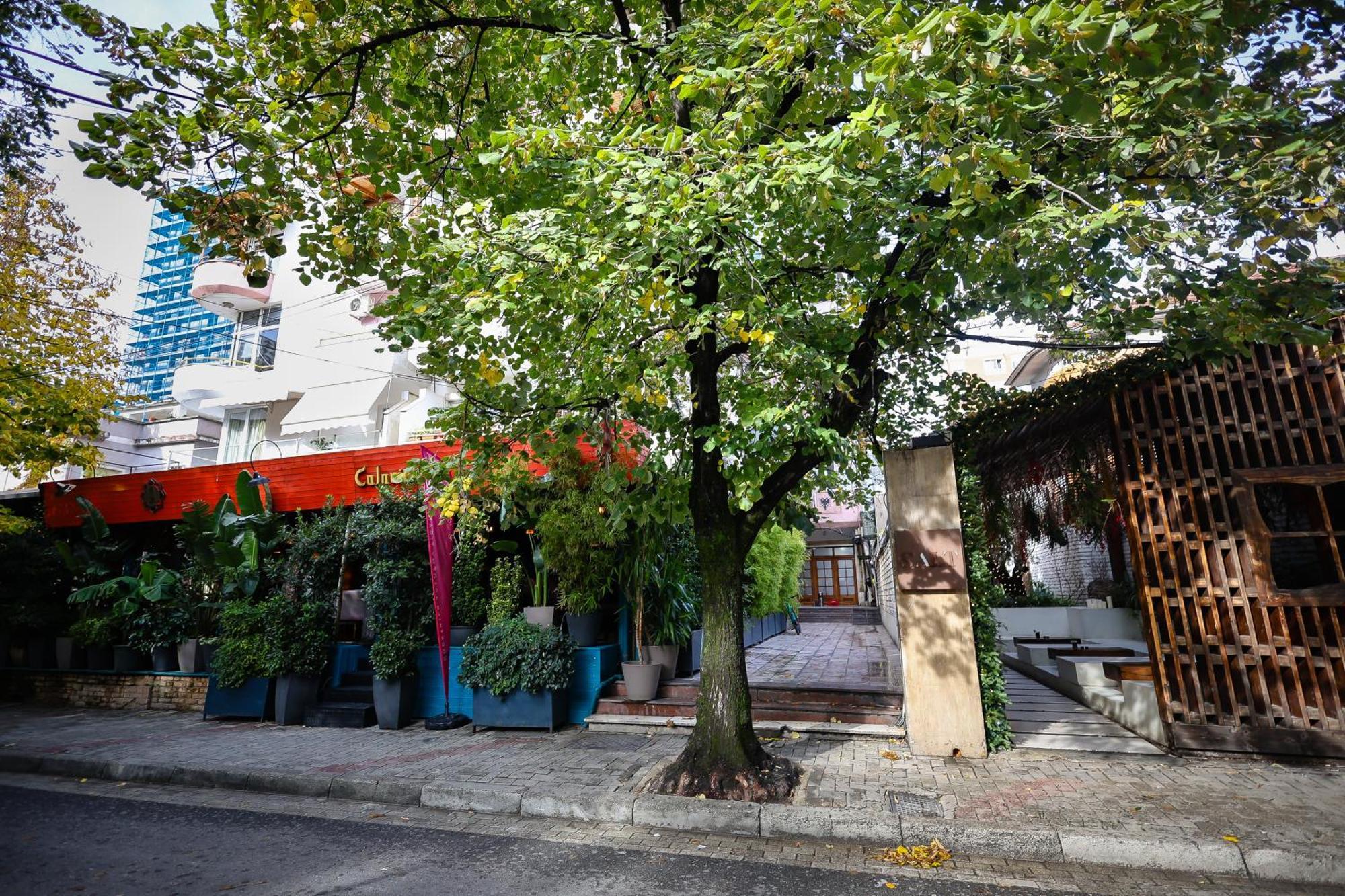 Noela'S Place Тирана Экстерьер фото